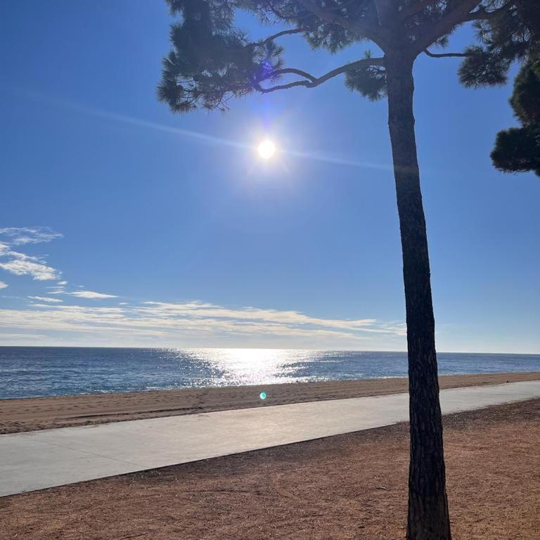 Penthouse in Platja d Aro Front Sea with Parking - Apartamento de 3 dormitorios - 2