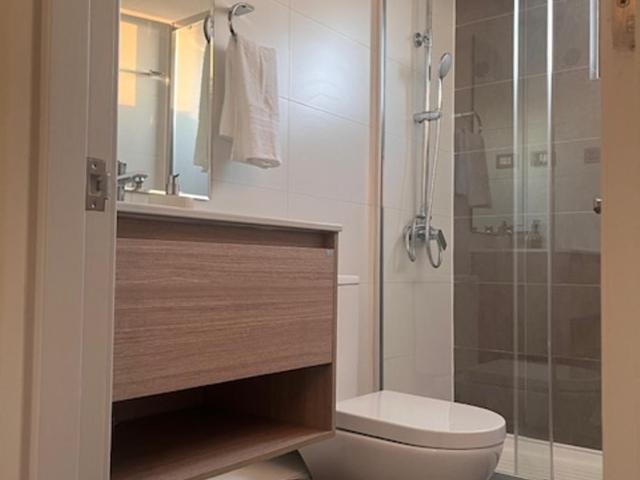 Alto Llaima Suites - Apartamento de 1 dormitorio - 5
