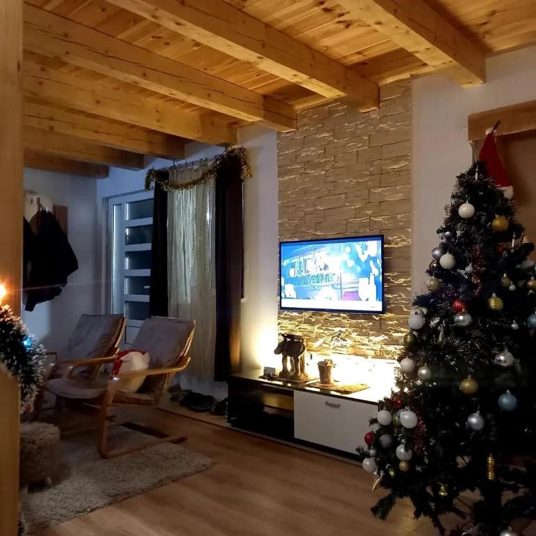 Kolasin Crkvine mountain - Kuća sa 2 Spavaće Sobe - 23