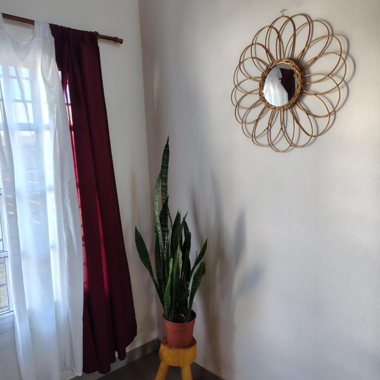 Alojamiento Centrico con Cochera - Apartamento de 1 dormitorio - 13