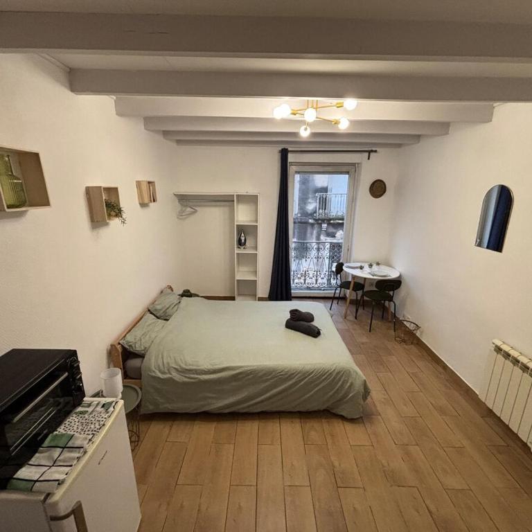 Charmant Studio Montpellier hypercentre - Apartment mit 1 Schlafzimmer - 3