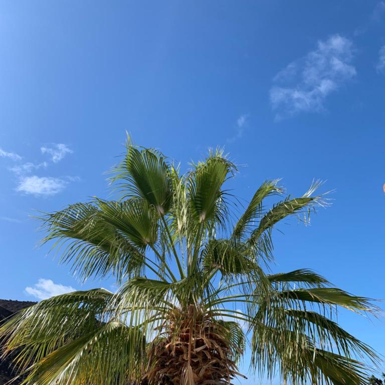 New Seaviews Apartment Puerto Mogán - Two-Bedroom Apartment - 25
