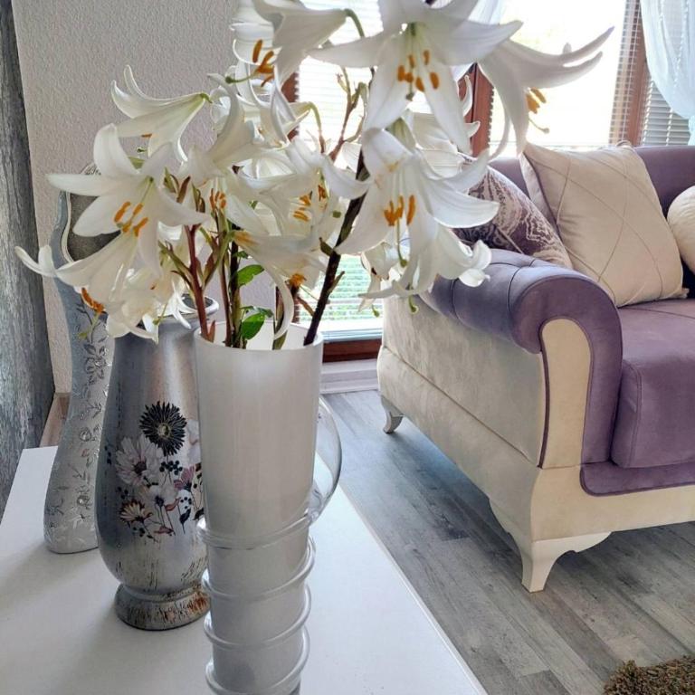 Apartman STARI GRAD - Two-Bedroom Apartment - 1