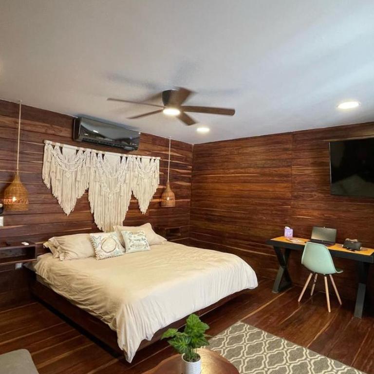 Nido BY puerto morelos - Deluxe Queen Studio - 7