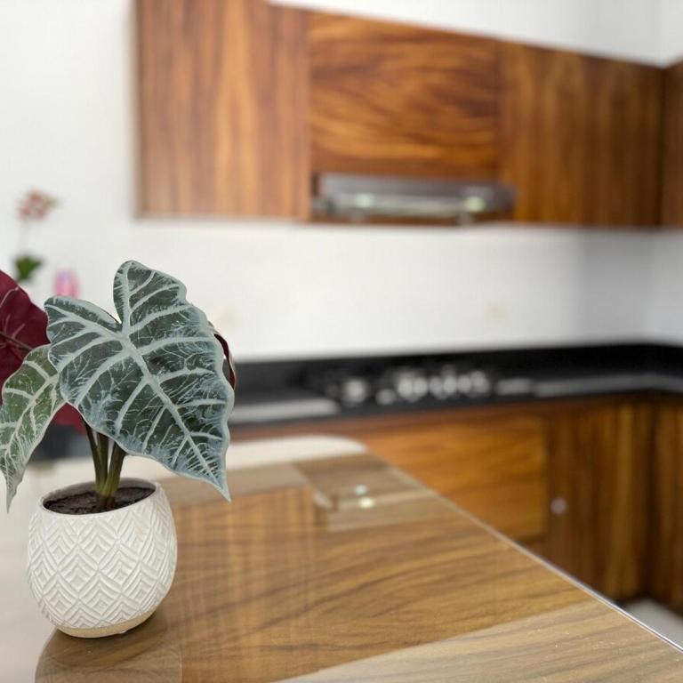Apartment in the golden zone near the beach rincon colonial 102 - Two-Bedroom Apartment - 47