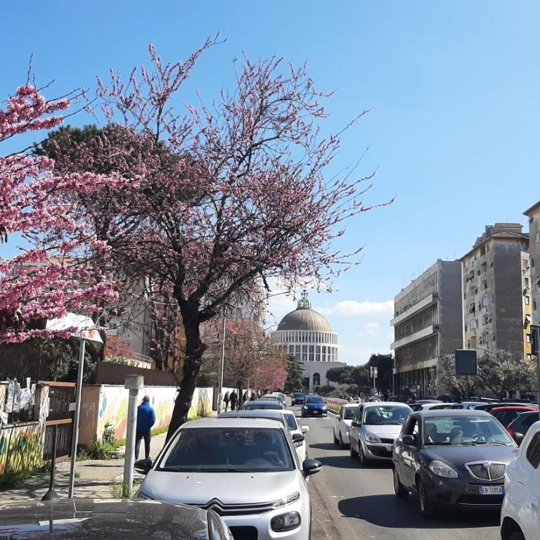 Alexander's Home close to Metro A - Appartamento con 2 Camere da Letto - 18