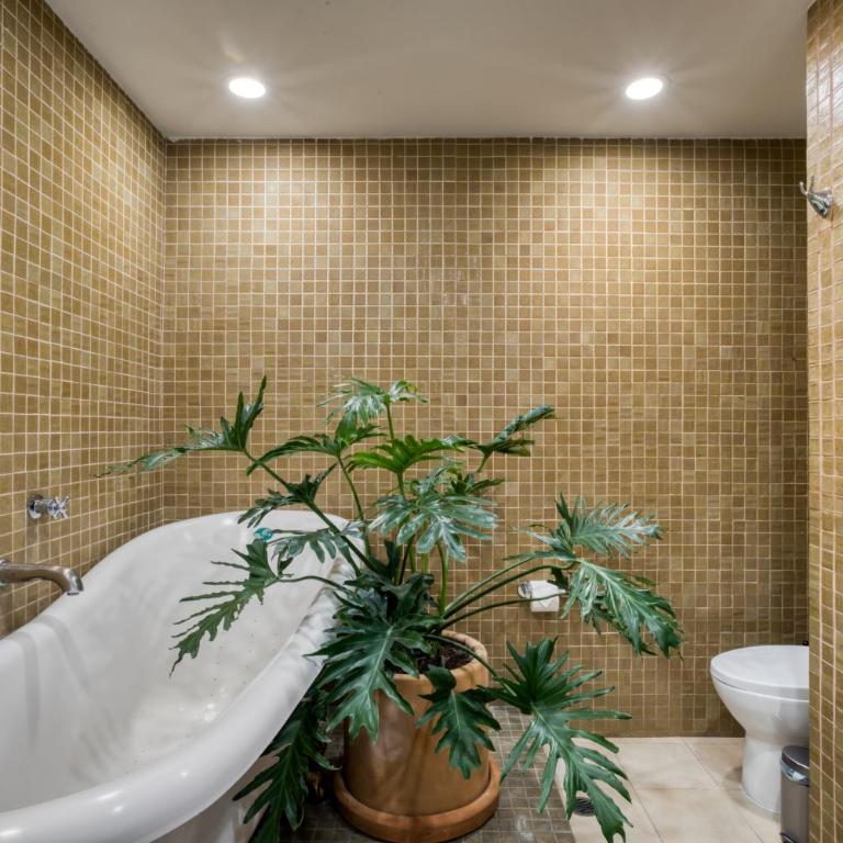 Casa Benjamin - Four-Bedroom House - 72