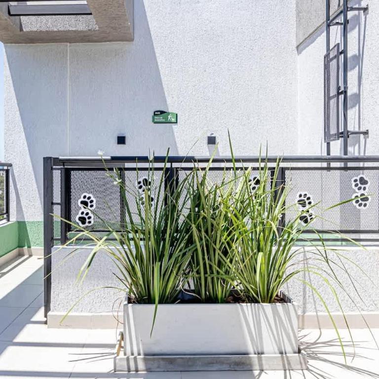 Hestia at Asuncion New & Chic 1BDR - Apartment - 18