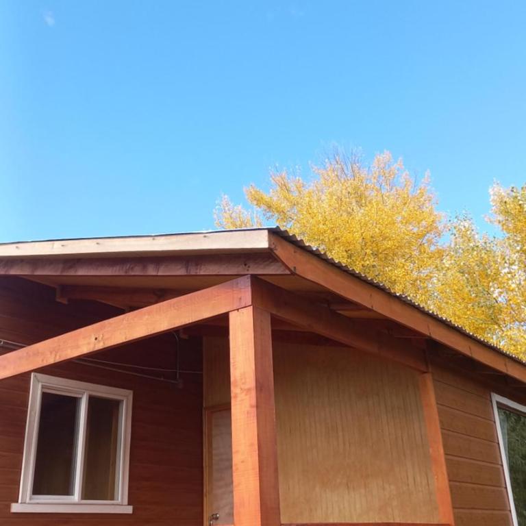 Cabañas Aliwen Lonquimay - Apartamento de 2 dormitorios - 44