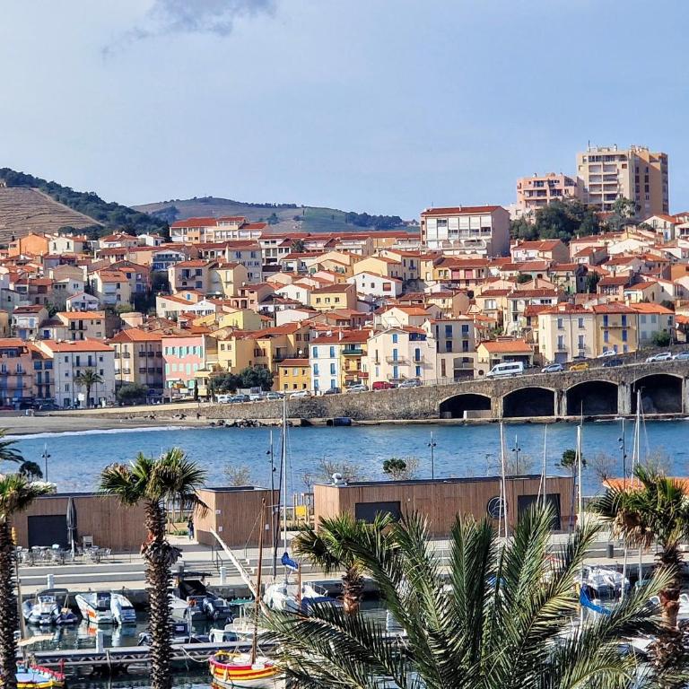 Appt 5 étoiles pour 4 pers, vue mer, salle cinéma, proche plongée - FR-1-309-167 - Apartamento de 1 dormitorio - 3
