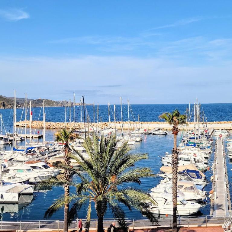 Appt 5 étoiles pour 4 pers, vue mer, salle cinéma, proche plongée - FR-1-309-167 - Apartamento de 1 dormitorio - 1