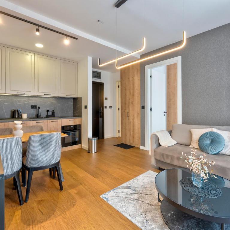 Luxury Zlatibor Aria - One-Bedroom Apartment - 12