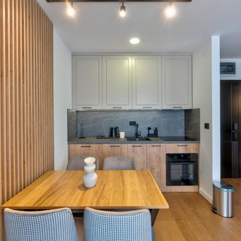 Luxury Zlatibor Aria - One-Bedroom Apartment - 25