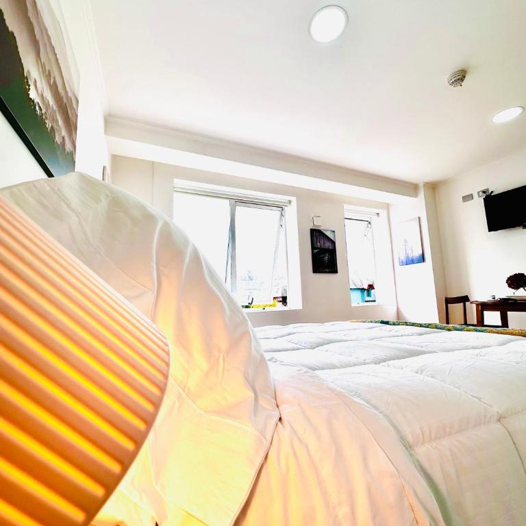Moderno departamento en Osorno - Apartamento de 1 dormitorio - 7