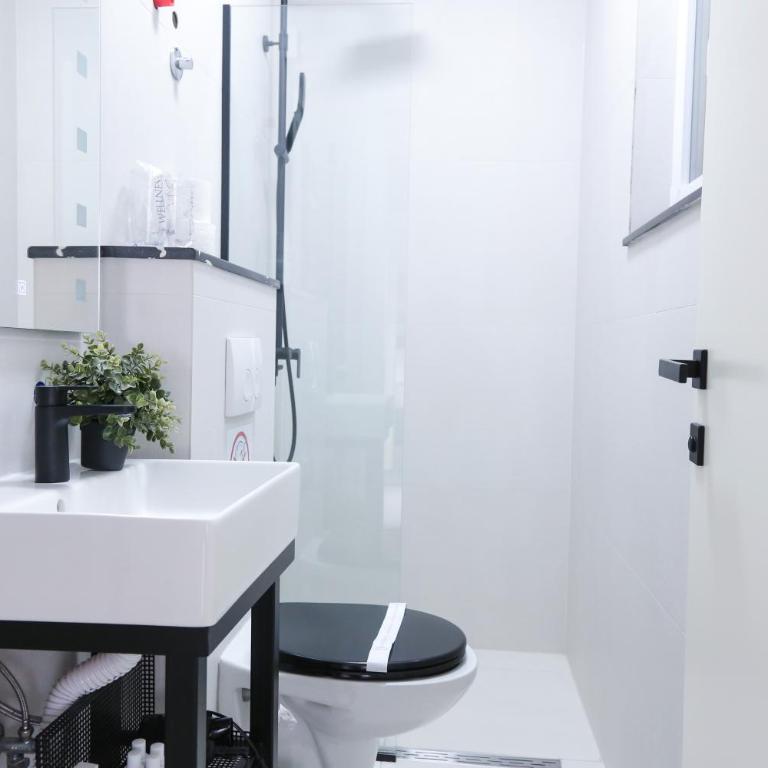 Templum apartments - Slavija square - Apartman sa Balkonom - 5