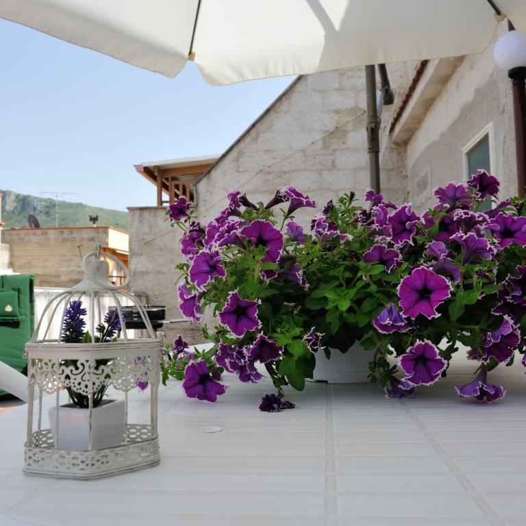 Case Vacanze Terra Sinus - Casa de 4 dormitorios - 43