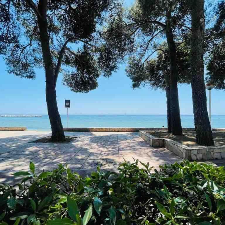 Estudio renovado en primera linea de mar - Apartamento de 1 dormitorio - 2
