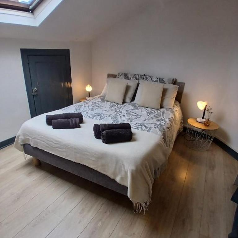 Charmant T2 au coeur d'Angers - Appartement 1 Chambre - 1