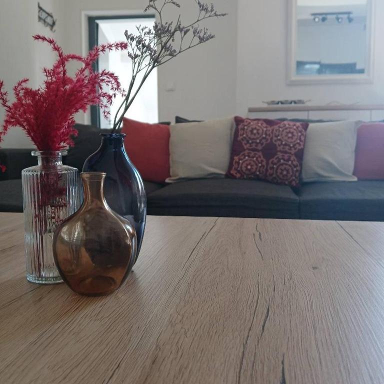Charmant T2 au coeur d'Angers - Appartement 1 Chambre - 14