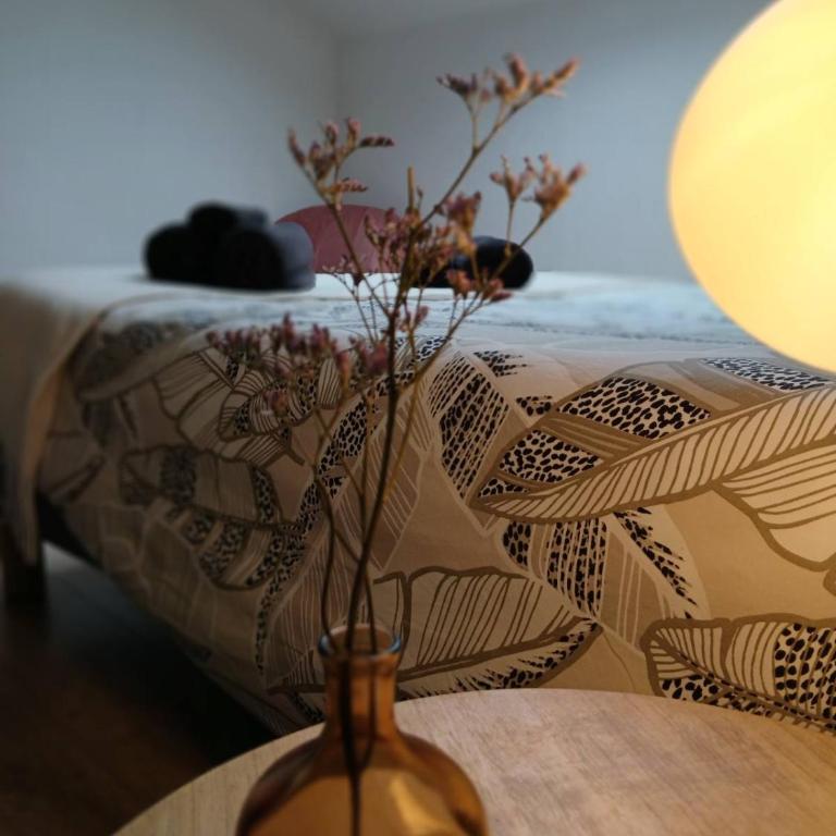 Charmant T2 au coeur d'Angers - Appartement 1 Chambre - 13