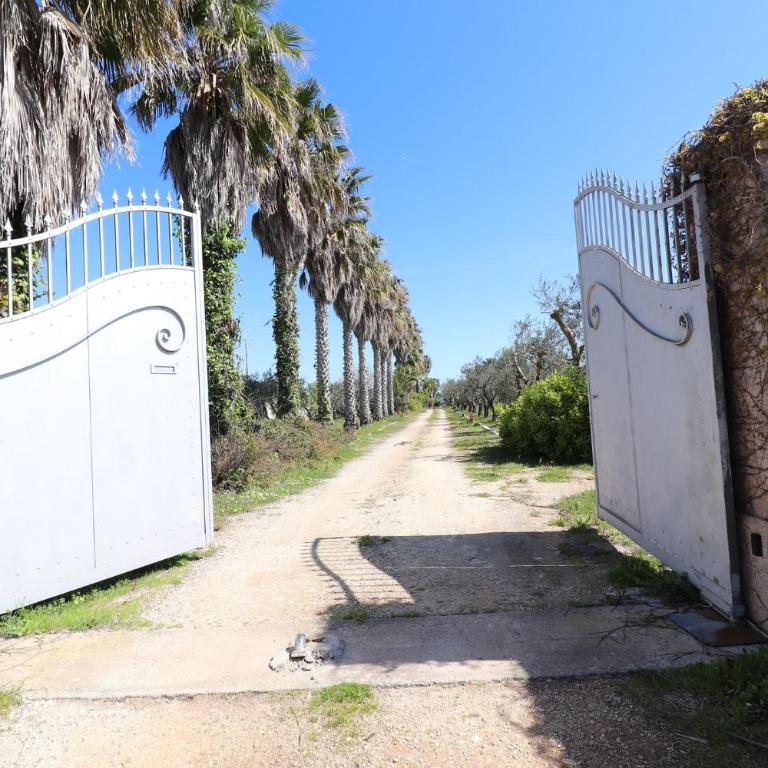 Villa Patrizia in Otranto - Villa - 26