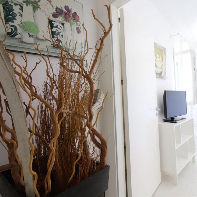 Villa Patrizia in Otranto - Villa - 56
