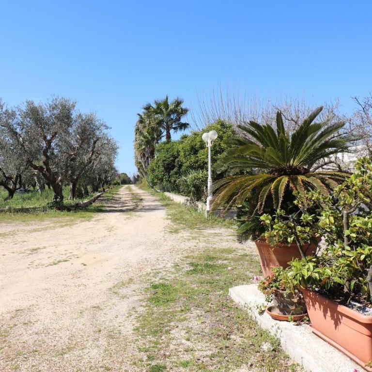 Villa Patrizia in Otranto - Villa - 86
