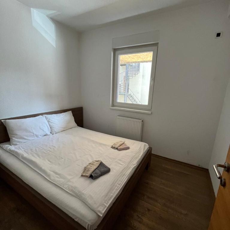 Sunny Pines - One-Bedroom Apartment - 2