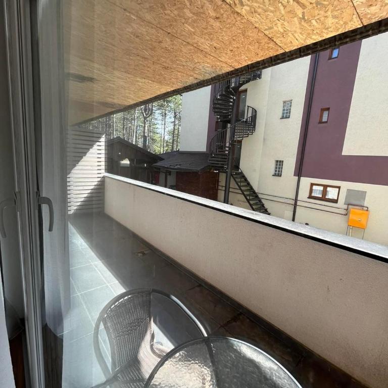 Sunny Pines - One-Bedroom Apartment - 3