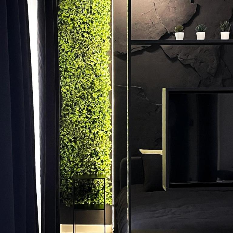 Rossa & Bayo Apartments - One-Bedroom Apartment with Terrace - 5