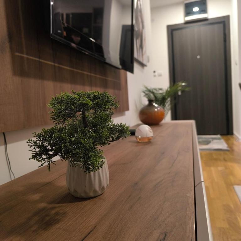 COMODO "Green Hill" - Apartman sa 1 Spavaćom Sobom - 11