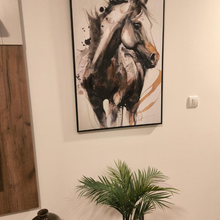 COMODO "Green Hill" - Apartman sa 1 Spavaćom Sobom - 14