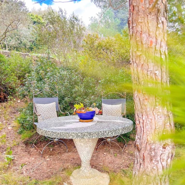 Joli T2 avec terrasse à Bandol - Appartement 1 Chambre - 22