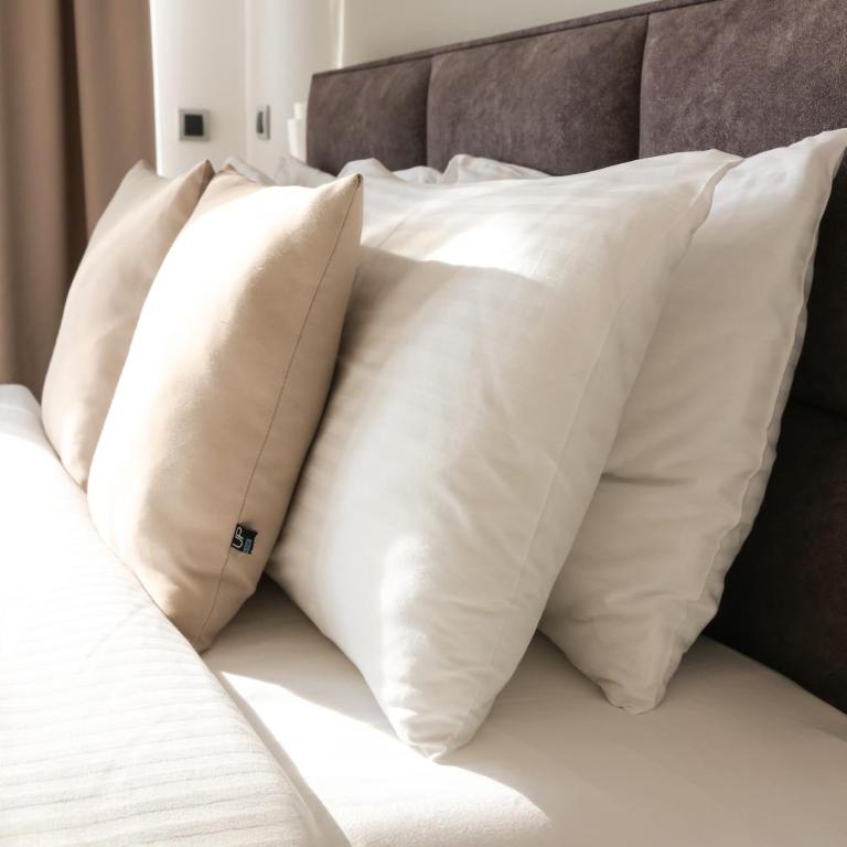 Templum apartments - Slavija square - Deluks Dvokrevetna Soba sa Bračnim Krevetom i Tušem - 5