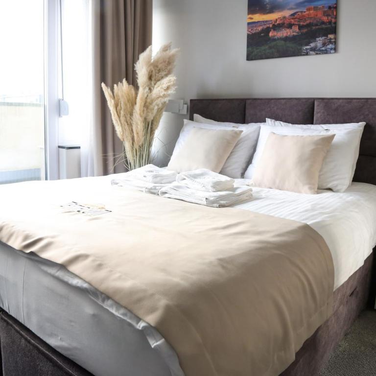 Templum apartments - Slavija square - Deluks Dvokrevetna Soba sa Bračnim Krevetom i Tušem - 5