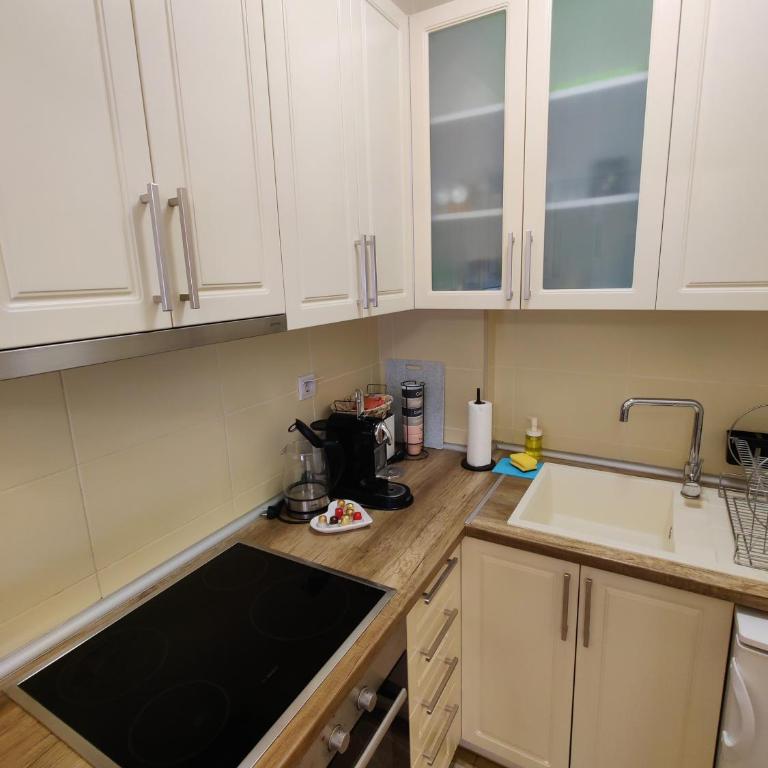 Djurdja Apartment Novi Sad - One-Bedroom Apartment - 12