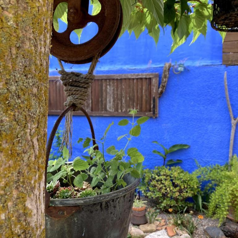 La Casita Azul, L'Escala, Con climatización - Habitación Doble - 22