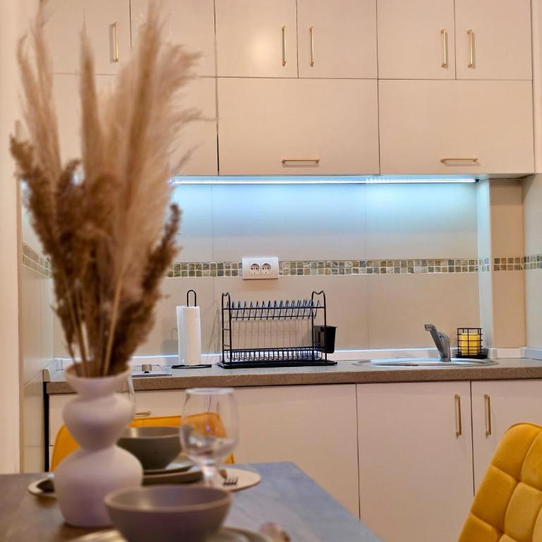 Apartman Atina - Apartman sa 1 Spavaćom Sobom - 3