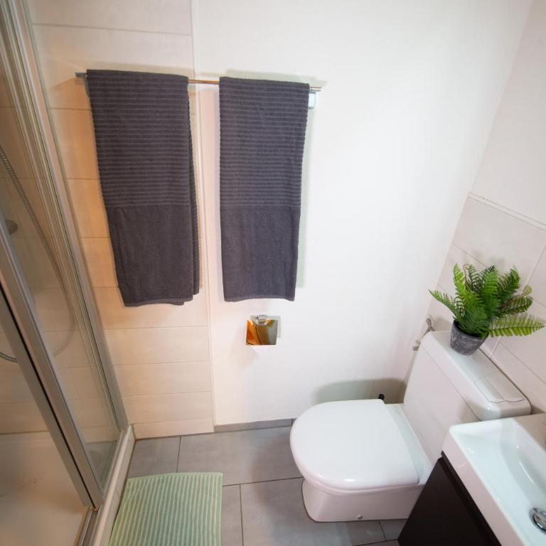 Chalet aux Portes du Soleil avec balcon - Premium Apartment mit 3 Schlafzimmern und Balkon - 12
