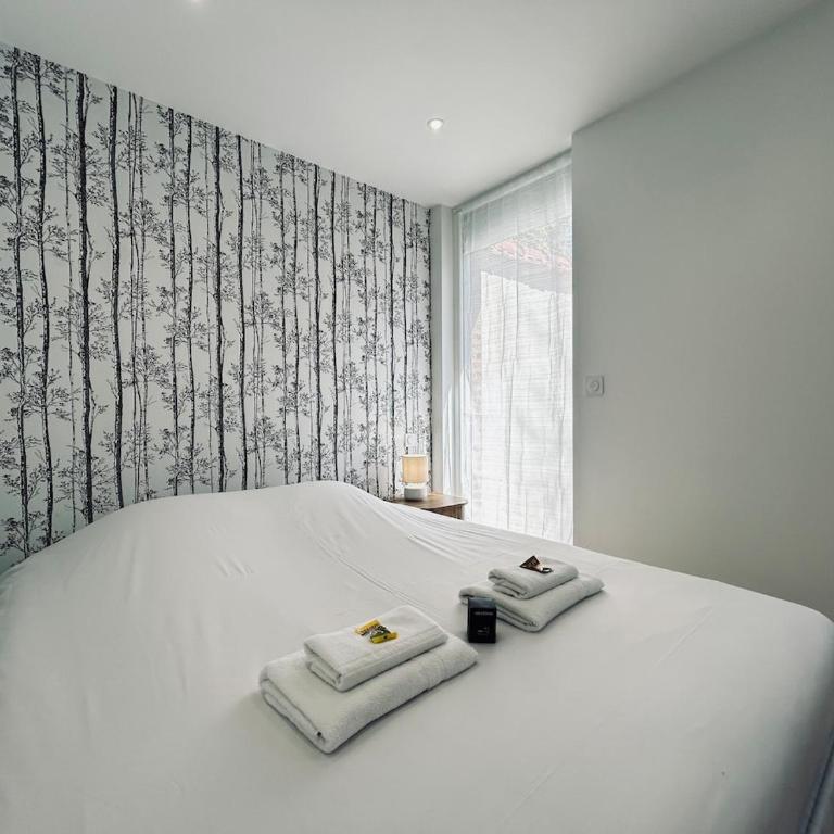 2 Lenoir T2 spacieux avec jacuzzi au centre-ville - Apartment mit 1 Schlafzimmer - 10