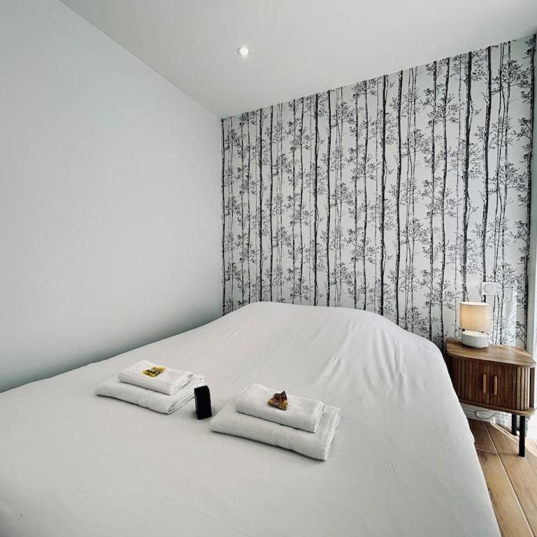 2 Lenoir T2 spacieux avec jacuzzi au centre-ville - Apartment mit 1 Schlafzimmer - 16