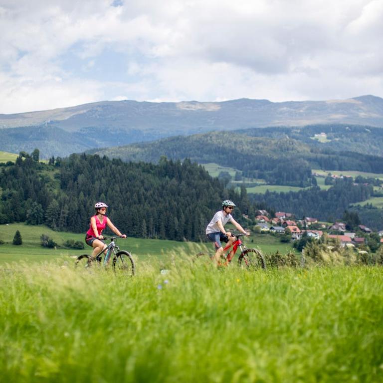 Feriendorf Murau by ALPS RESORTS - Premium Chalet 12 with sauna & whirlpool - 5
