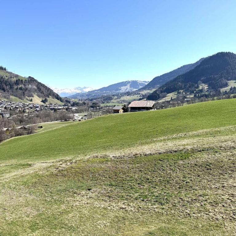 Appartement 2 pièces à Praz Sur Arly, parking, proche pistes, pour 5 personnes - Appartement 1 Chambre - 17