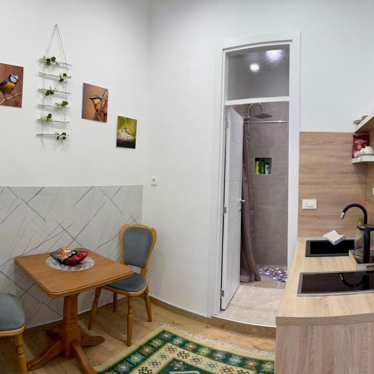 Apartman Potoklinica - Apartman sa 1 Spavaćom Sobom - 12