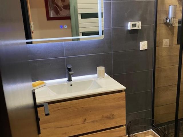 Patrimoine Albigeois 36 HDV DupleX - Superior Apartment - 38