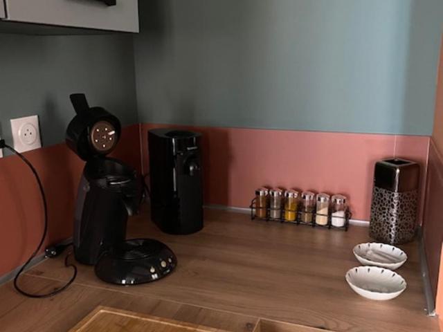Patrimoine Albigeois 36 HDV DupleX - Superior Apartment - 51