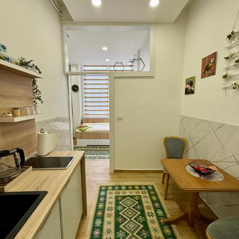 Apartman Potoklinica - Apartman sa 1 Spavaćom Sobom - 8
