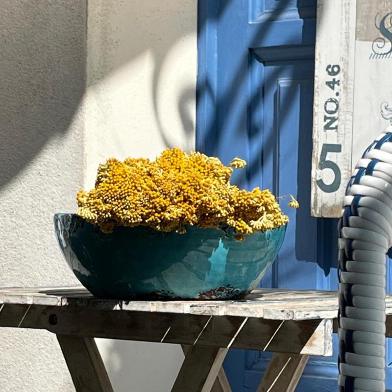 Les galets bleus de Calvi - Villa - 56