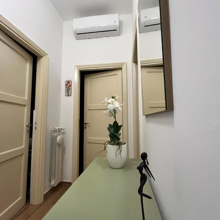 Gallipoli Dragonfly Inn - Appartamento - Appartamento con 2 Camere da Letto - 5