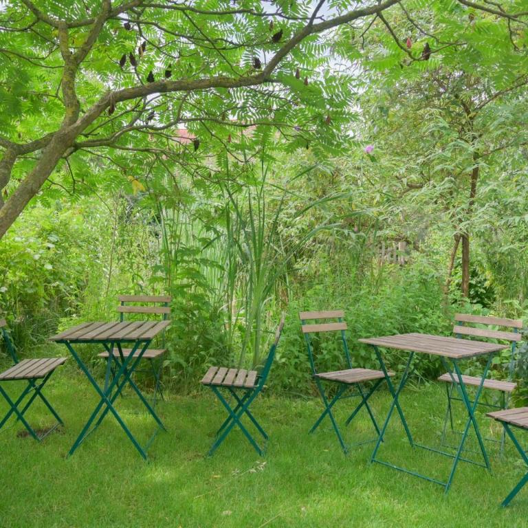 Colmar Friends and Familly guest home - COLMAR Gare - Jardin - Combles et Vous - Appartamento con Vista Giardino - 32